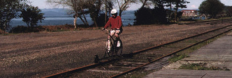 Railbiking on a Coati Express Railbike